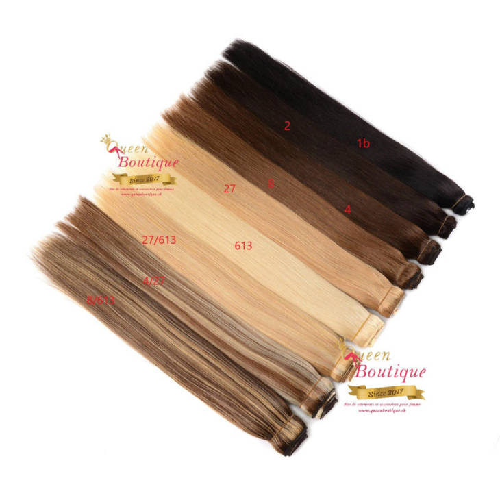 Extensions en clip couleur 4/613 lisse