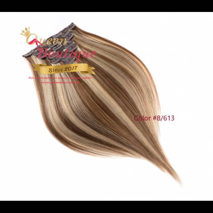 Extensions en clip couleur 8/613 lisse
