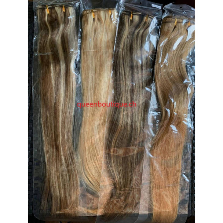 Extensions en clip couleur 8/613 lisse