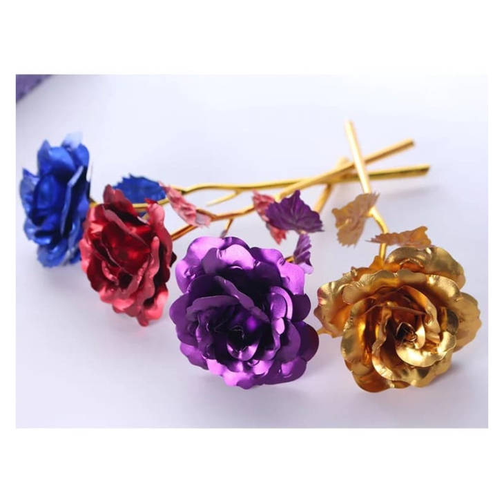 Rose 24 K