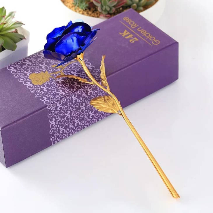 Rose 24 K