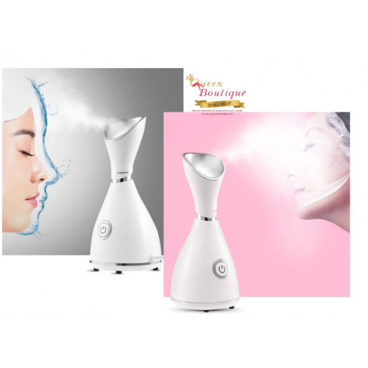 Vaporisateur Ionique Facial