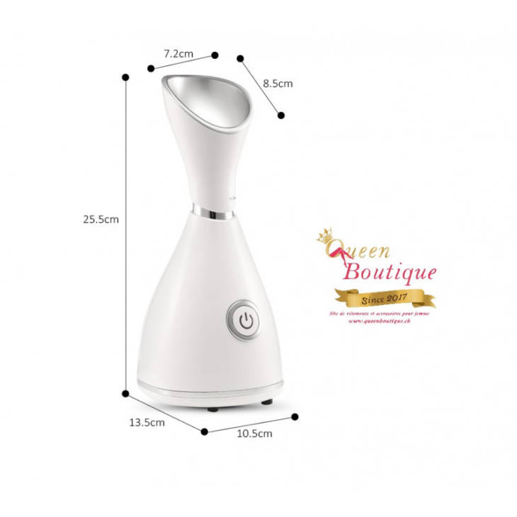 Vaporisateur Ionique Facial