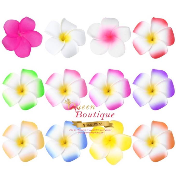 Hawaï Fleurs ( 12 pièces)