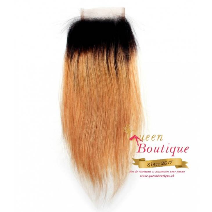 1B 27 Lisse